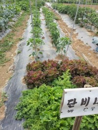 2012-06-0l1.jpg
