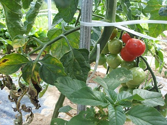 2012-06-2l2.jpg
