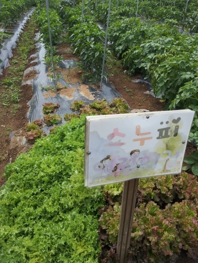 20130613_102431.jpg