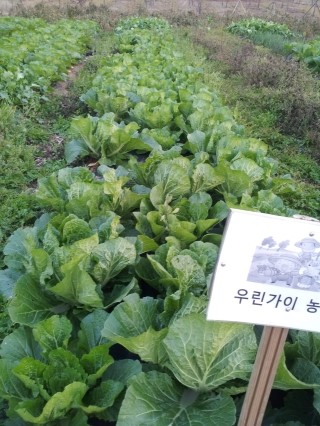 2012-11-03_17.22.58.jpg