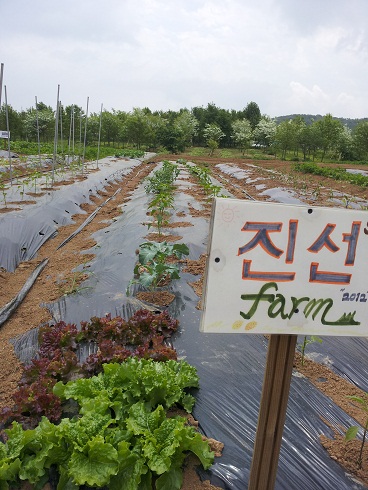 2012-05-17m2.jpg